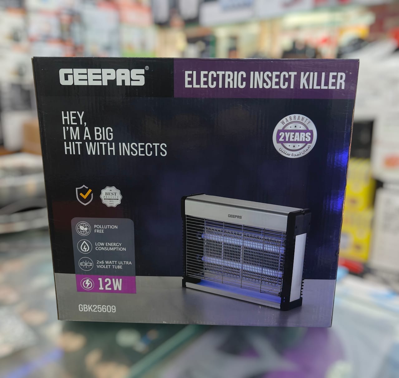 GEEPAS INSECT KILLER GBK 25609