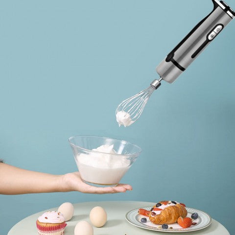 Europe lot EURO LAND multifunctional hand blender set