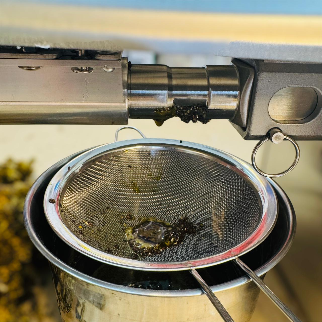 stainless steel oil press machine ( oil extractor machine )