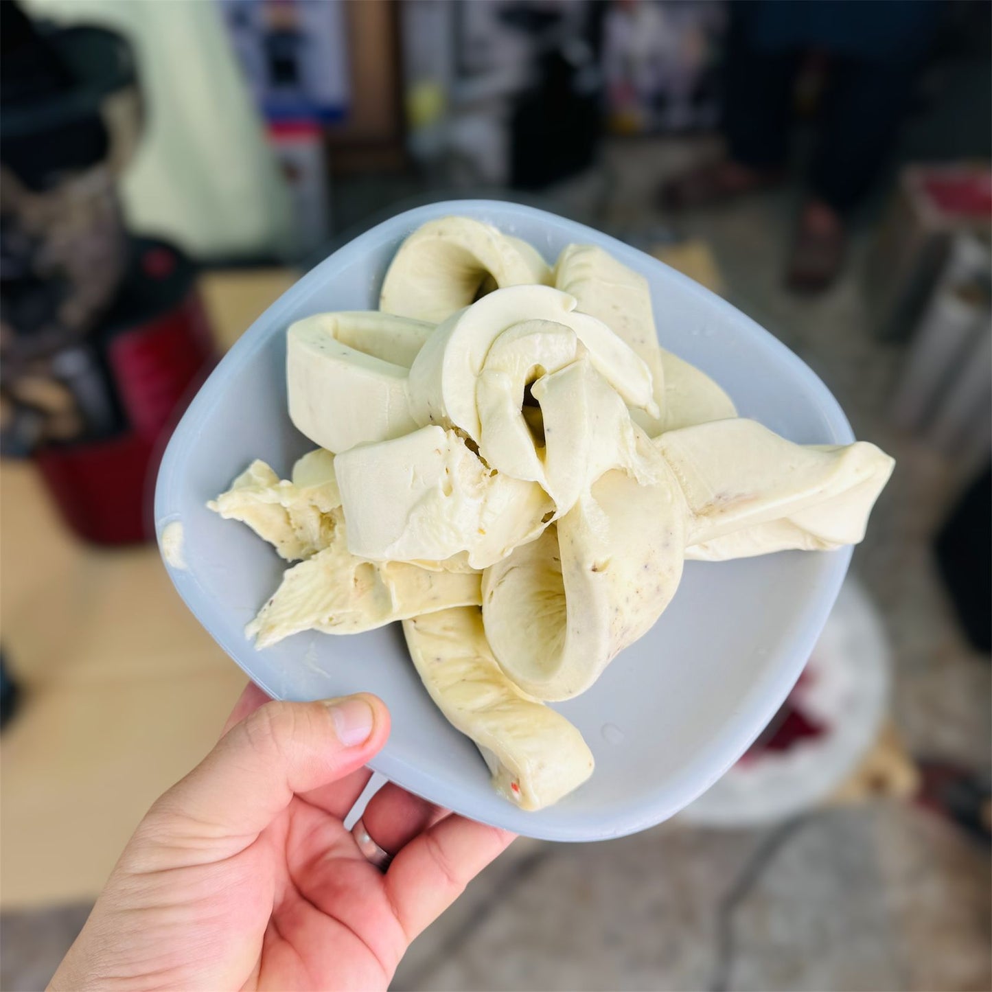 savtm 2 IN 1 Ice cream & cold press juicer JE-31  ( slow juicer )