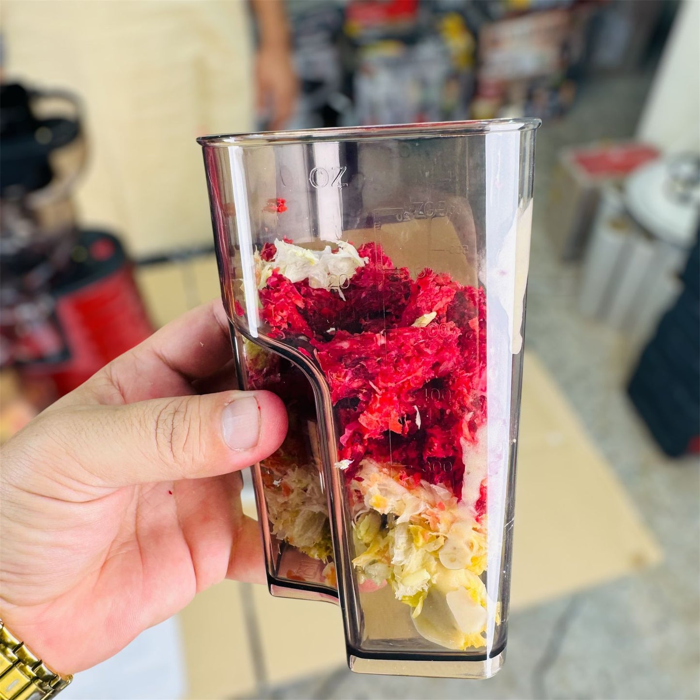 savtm 2 IN 1 Ice cream & cold press juicer JE-31  ( slow juicer )