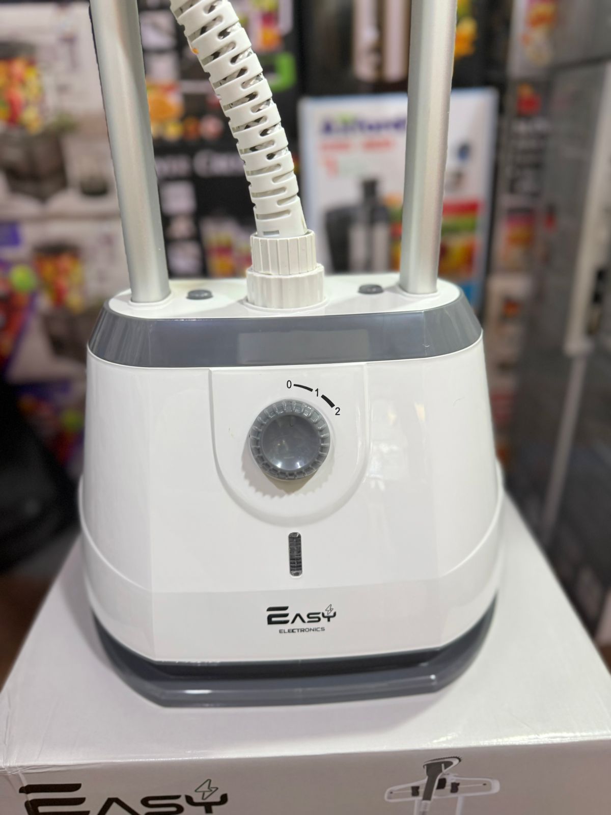Lot imported EASY Garment Steamer 2.0L 2000W